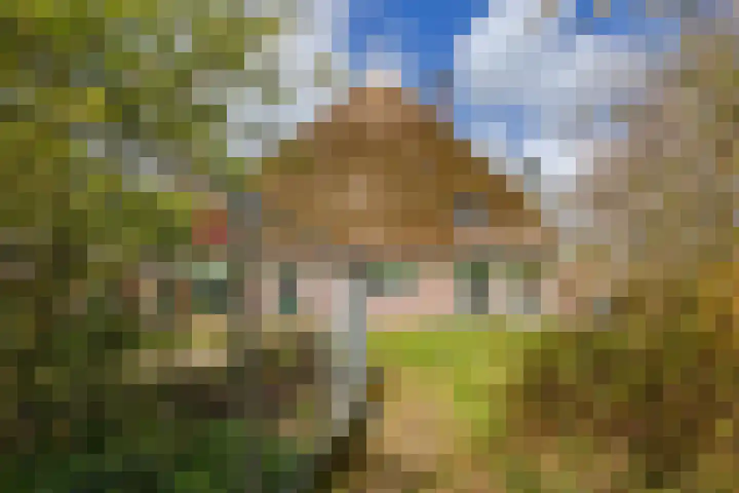 Westerstraat 8 Sijbekarspel thumbnail 30
