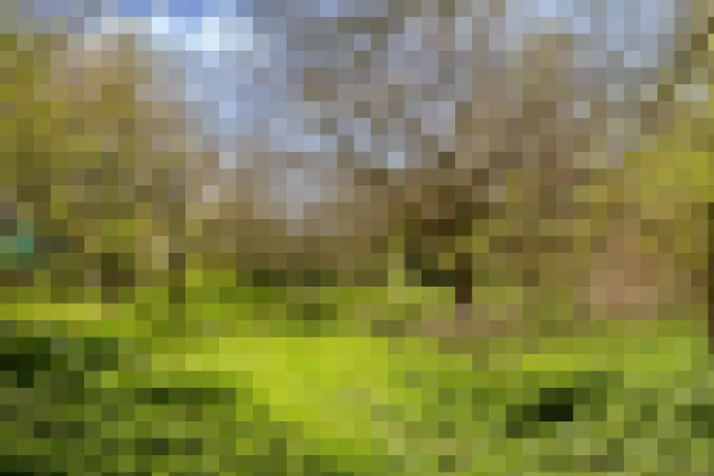 Westerstraat 8 Sijbekarspel thumbnail 5