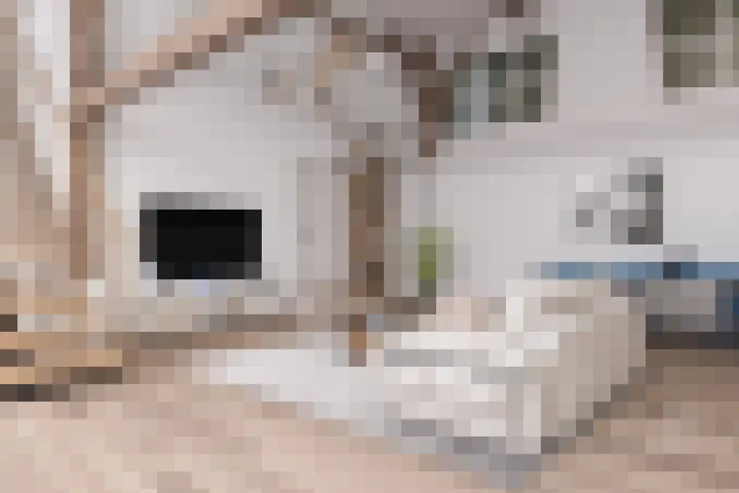 Westerstraat 8 Sijbekarspel thumbnail 8