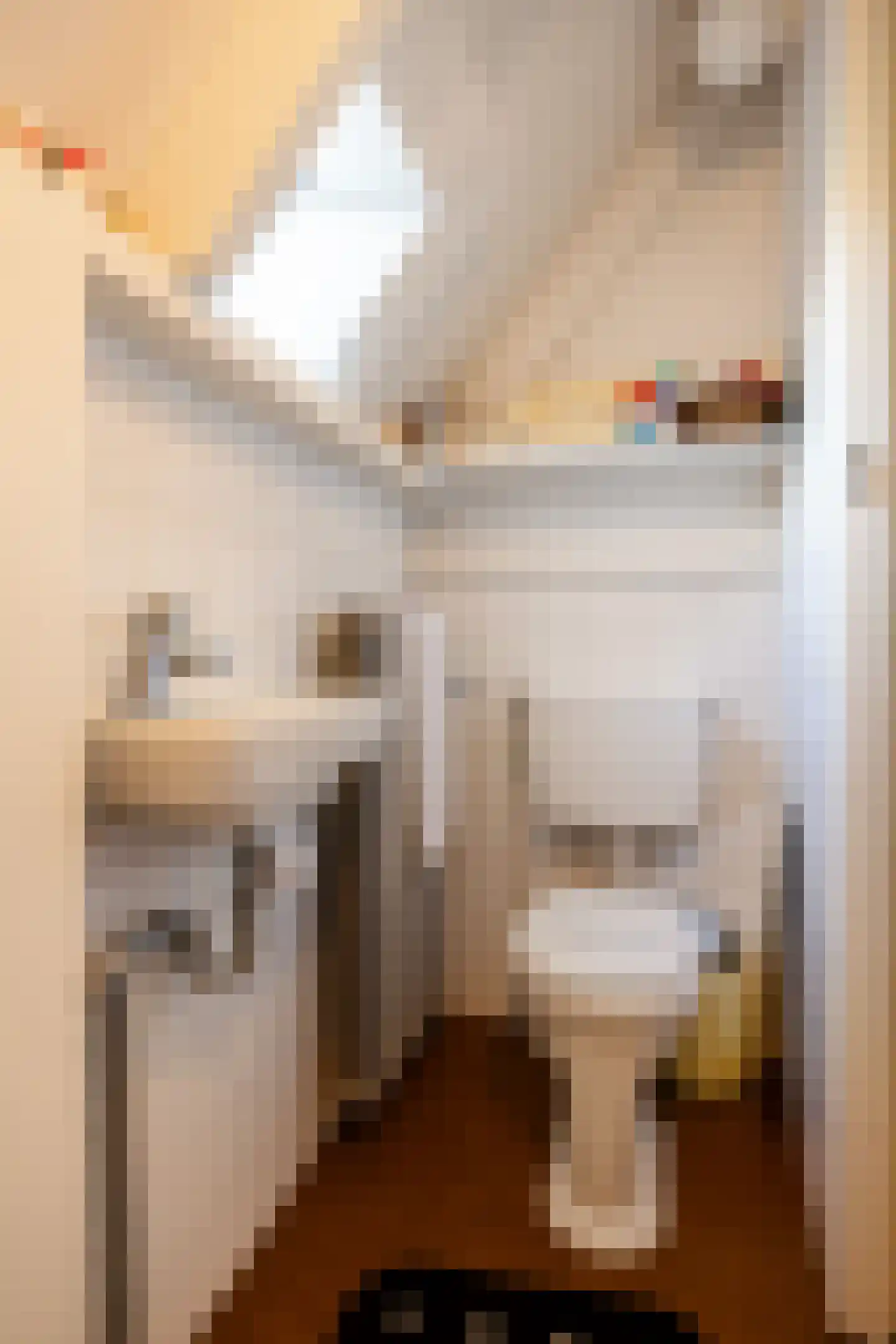 Westerstraat 9 Winsum thumbnail 42