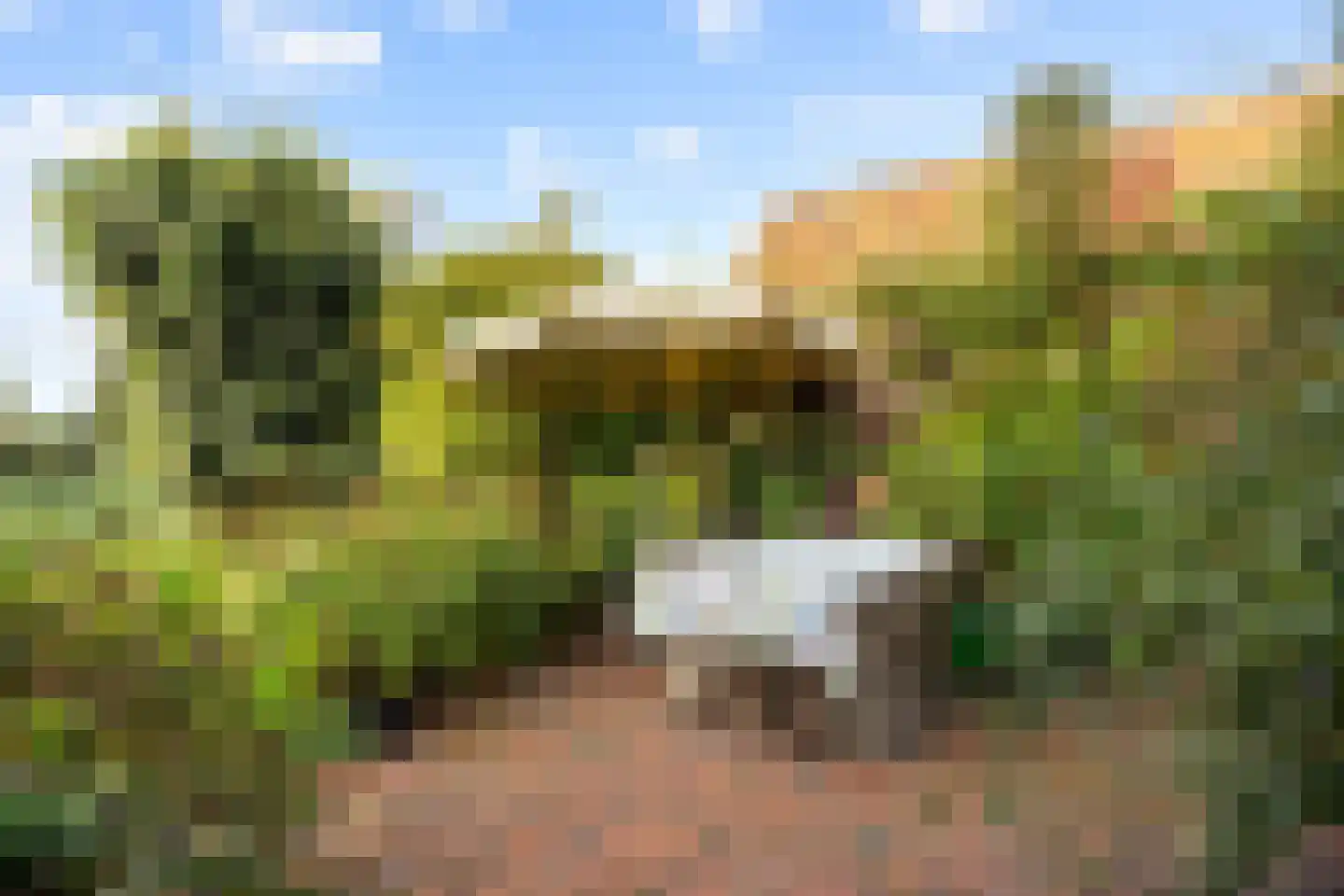 Westerstraat 9 Winsum thumbnail 50