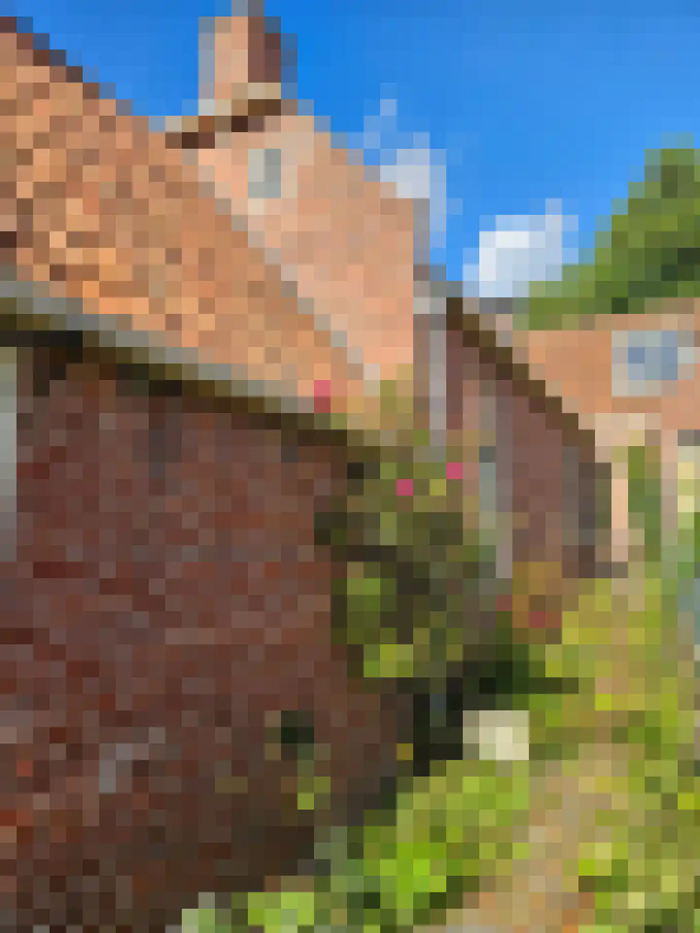 Westerstraat 9 Winsum thumbnail 54