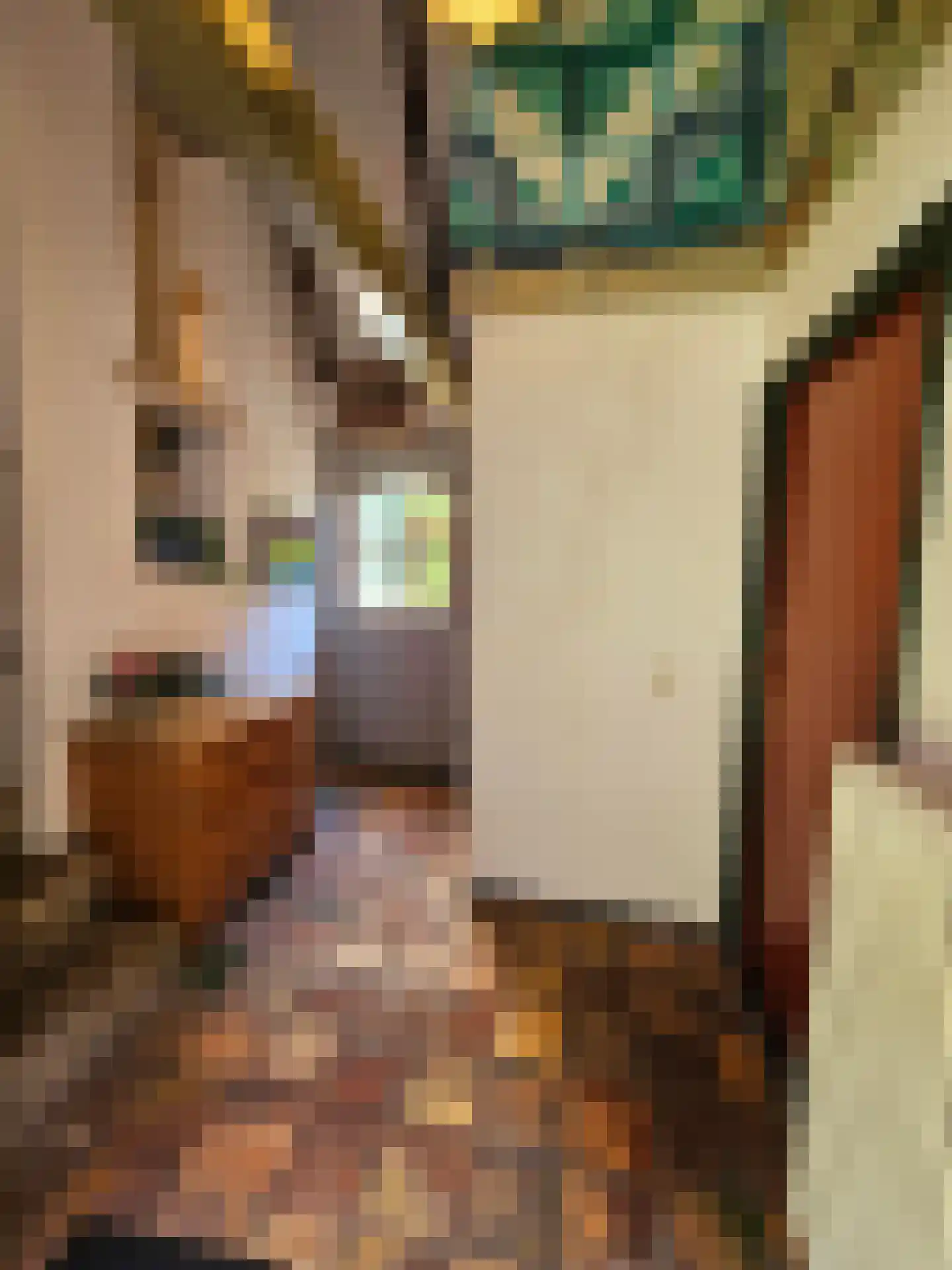 Westerstraat 9 Winsum thumbnail 8