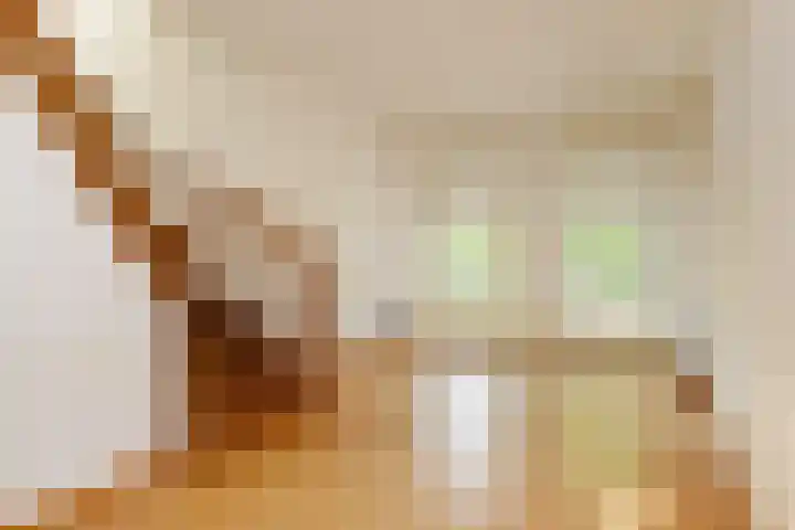 Westerstraat 95 Delft thumbnail 17