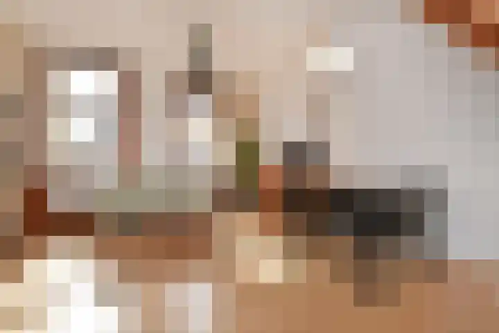 Westerstraat 96 Delft