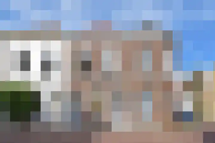 Westerstraat 96 Delft thumbnail 5