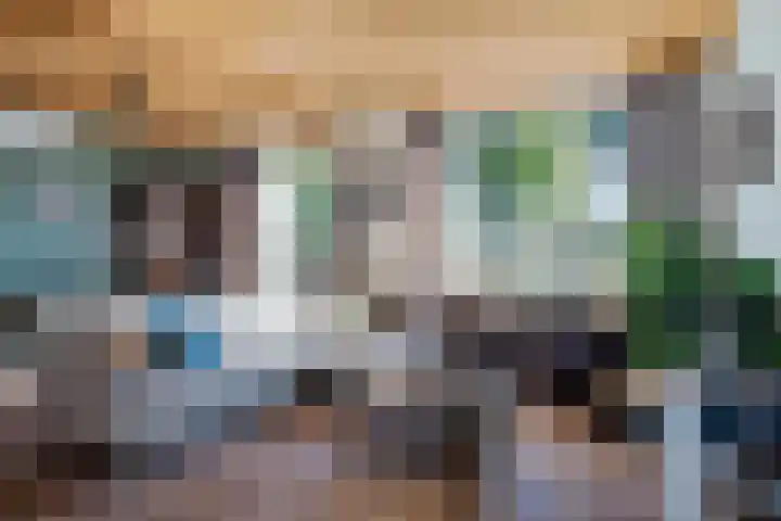 Westerstraat 99 Ter Apel thumbnail 5