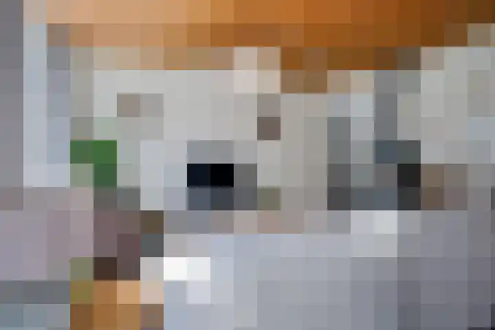 Westerstraat 99 Ter Apel thumbnail 6