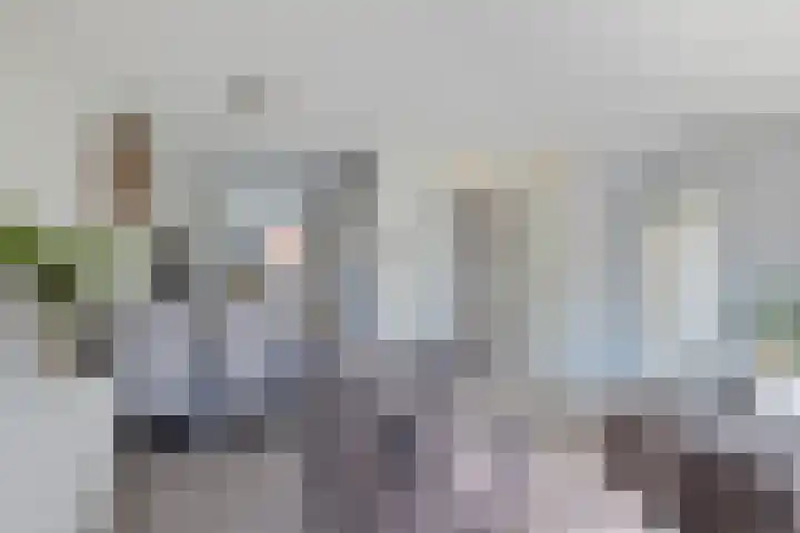 Westerstukken 23 Eelde thumbnail 14