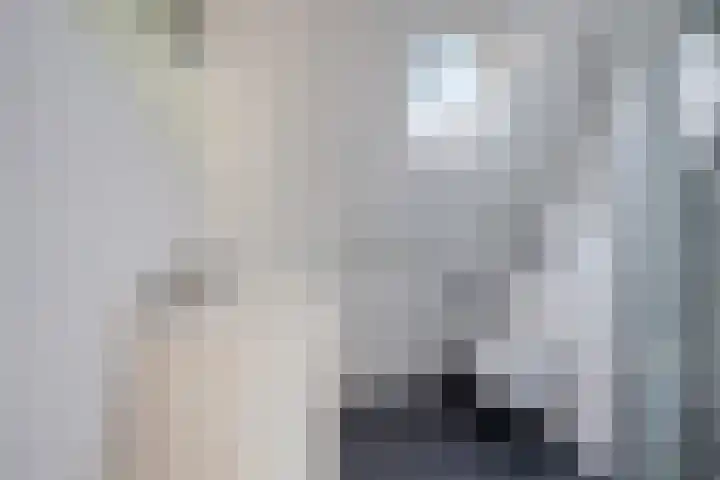Westerstukken 23 Eelde thumbnail 19