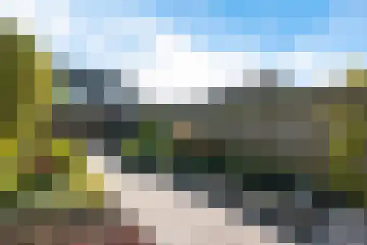 Westerstukken 23 Eelde thumbnail 28