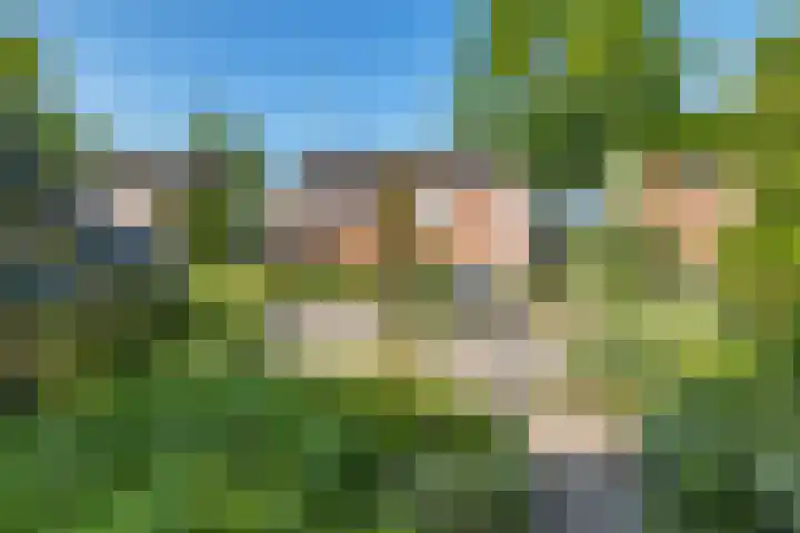 Westerstukken 23 Eelde thumbnail 4