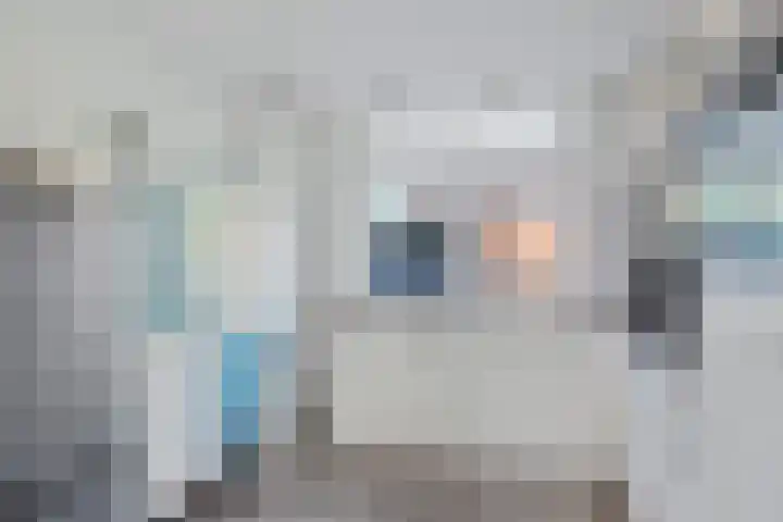 Westerstukken 23 Eelde thumbnail 7
