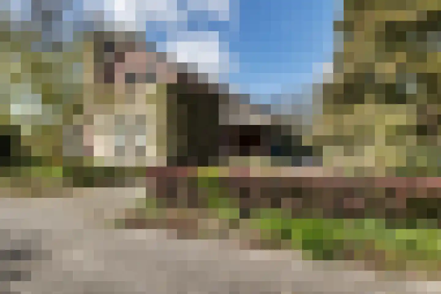 Westerstukken 38 in Eelde