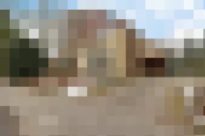 Westerstukken 38 Eelde