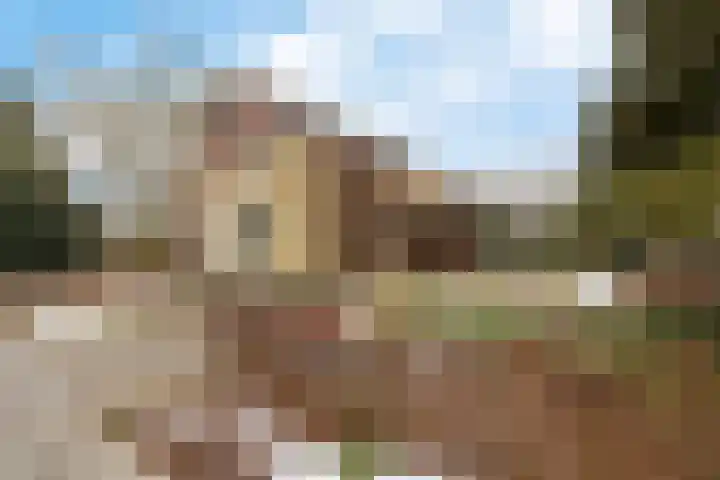 Westerstukken 38 Eelde foto 2