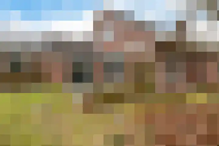 Westerstukken 38 Eelde thumbnail 30