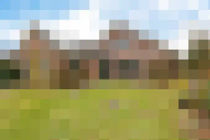 Westerstukken 38 Eelde thumbnail 32