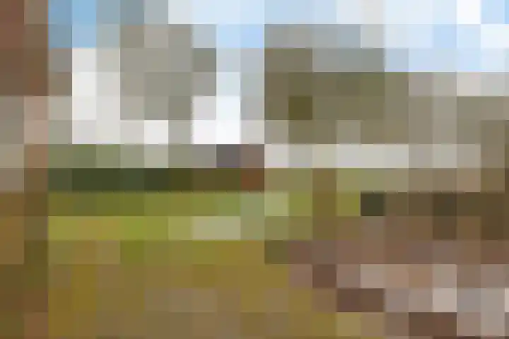 Westerstukken 38 Eelde thumbnail 33