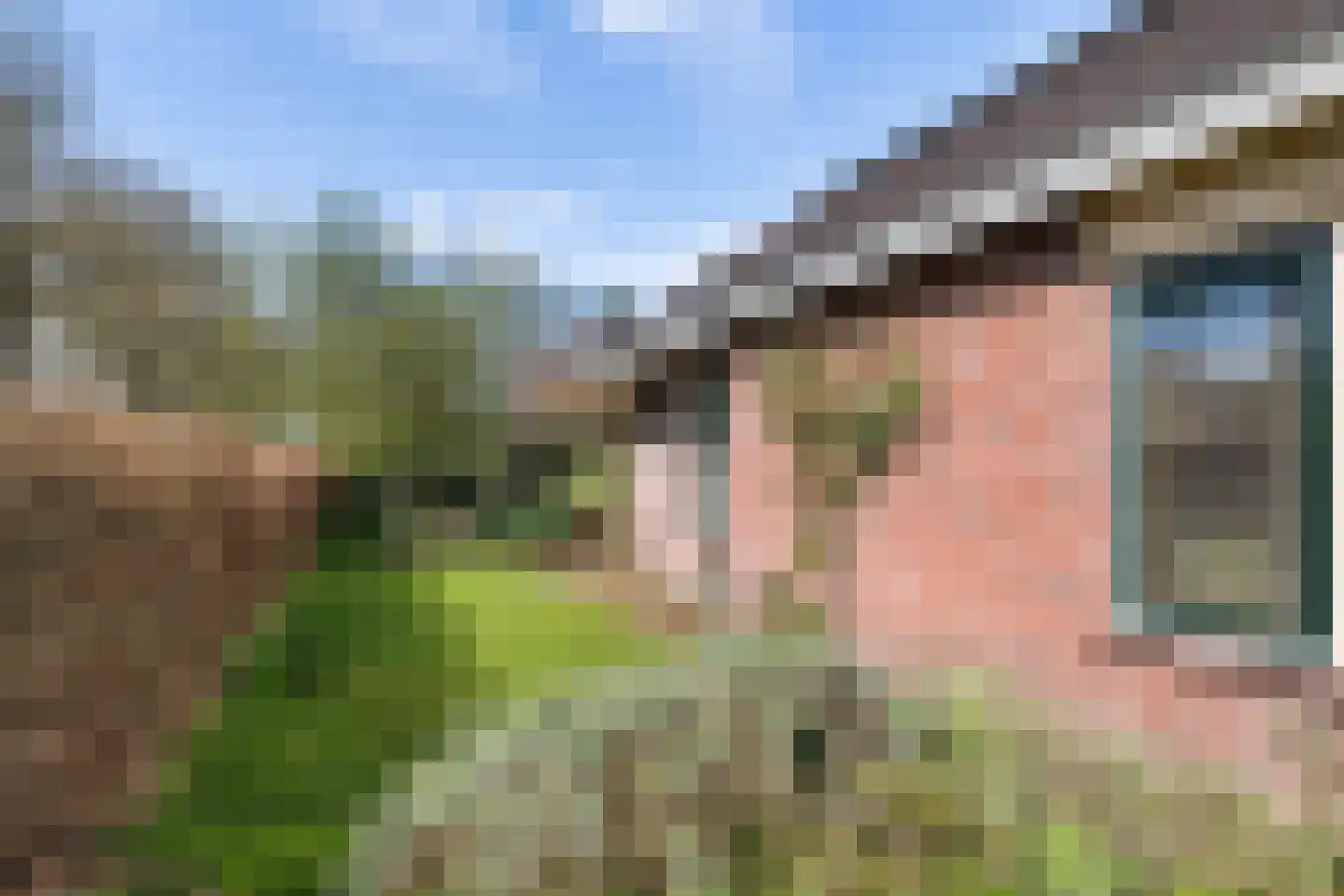 Westerstukken 38 Eelde thumbnail 33