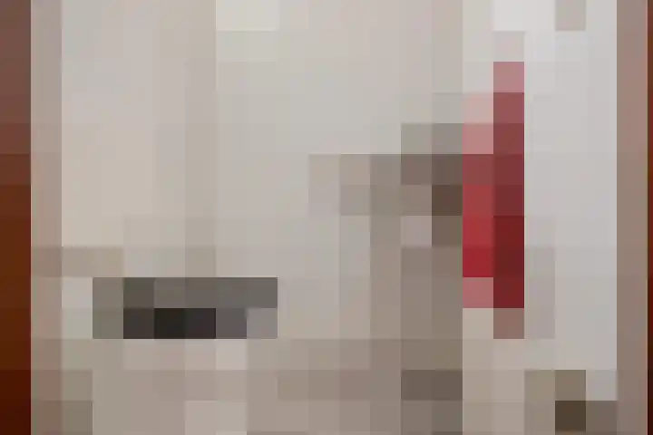 Westerstukken 38 Eelde thumbnail 4