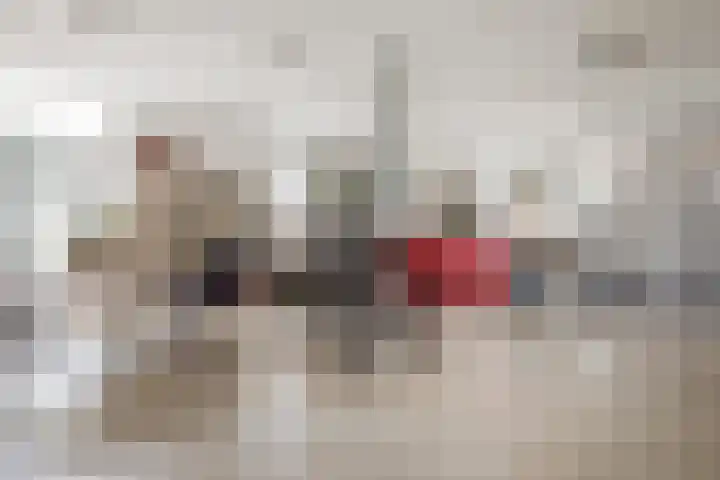 Westerterpweg 24 Slootdorp thumbnail 15