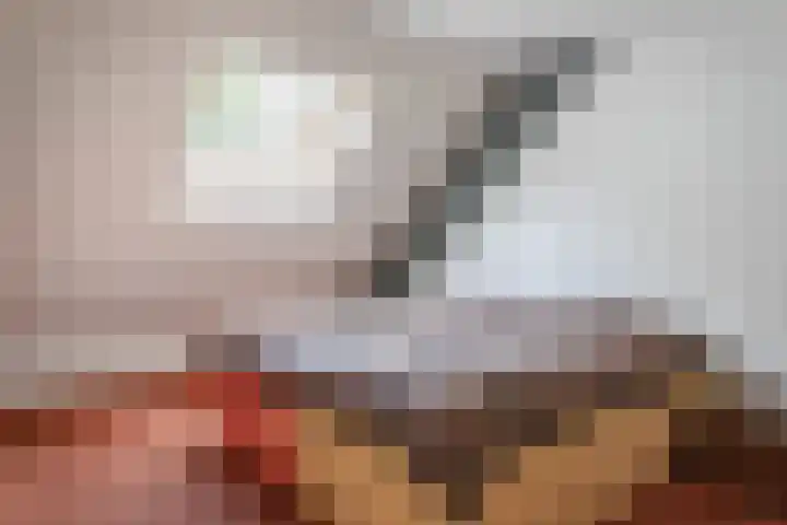 Westerterpweg 24 Slootdorp thumbnail 21