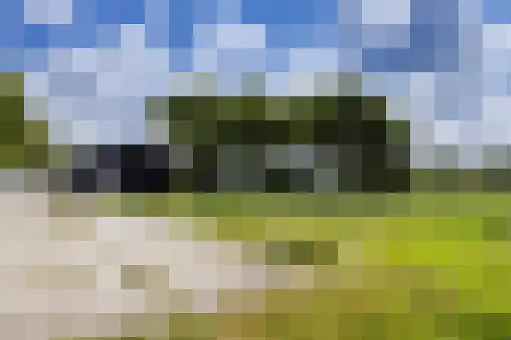 Westerterpweg 24 Slootdorp thumbnail 28
