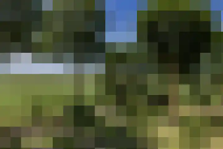 Westerterpweg 24 Slootdorp thumbnail 29