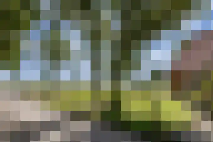 Westerterpweg 24 Slootdorp thumbnail 30