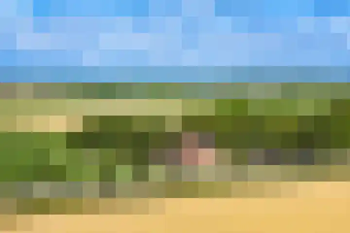 Westerterpweg 24 Slootdorp thumbnail 32