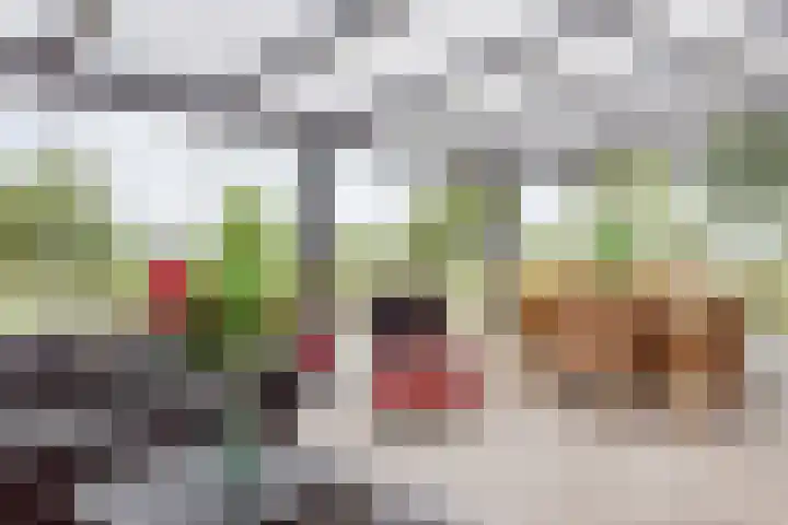Westerterpweg 24 Slootdorp thumbnail 5