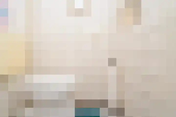 Westertorenlaan 1 Tilburg thumbnail 17