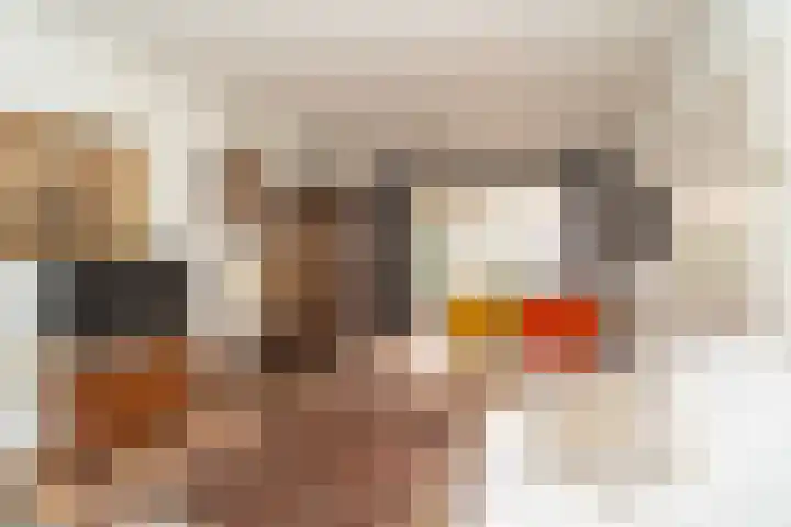 Westertorenlaan 1 Tilburg thumbnail 21