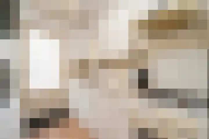 Westertorenlaan 1 Tilburg thumbnail 22