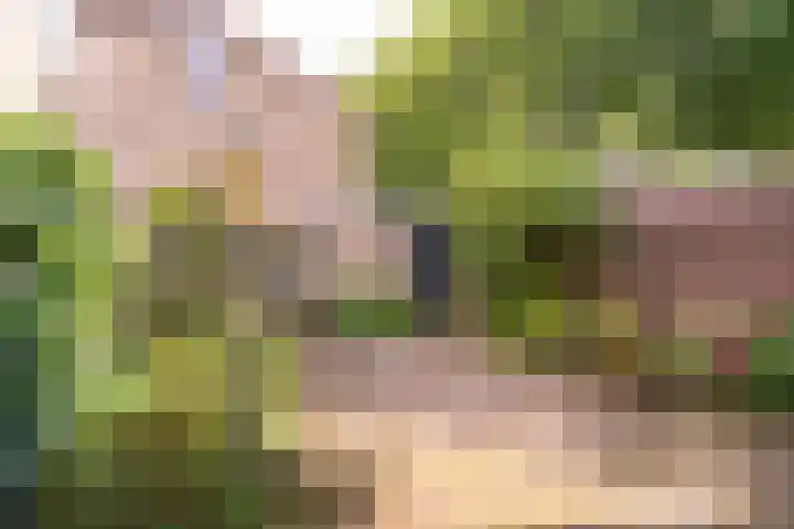 Westertorenlaan 1 Tilburg thumbnail 27