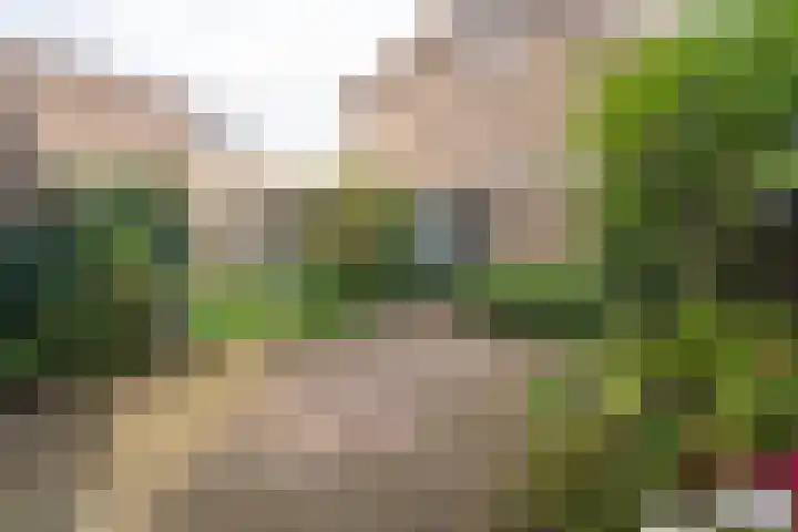 Westertorenlaan 1 Tilburg thumbnail 28