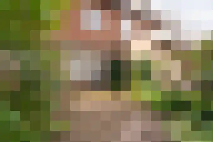 Westertorenlaan 1 Tilburg thumbnail 30