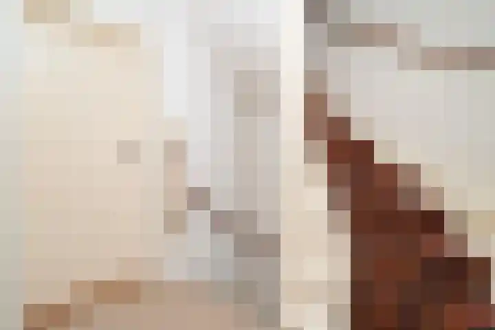 Westertorenlaan 1 Tilburg thumbnail 31