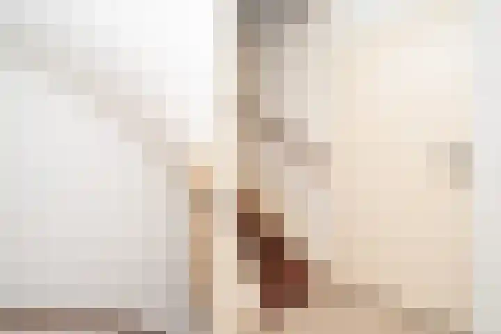 Westertorenlaan 1 Tilburg thumbnail 32