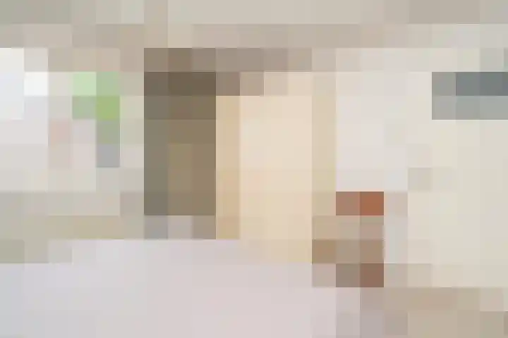 Westertorenlaan 1 Tilburg thumbnail 34