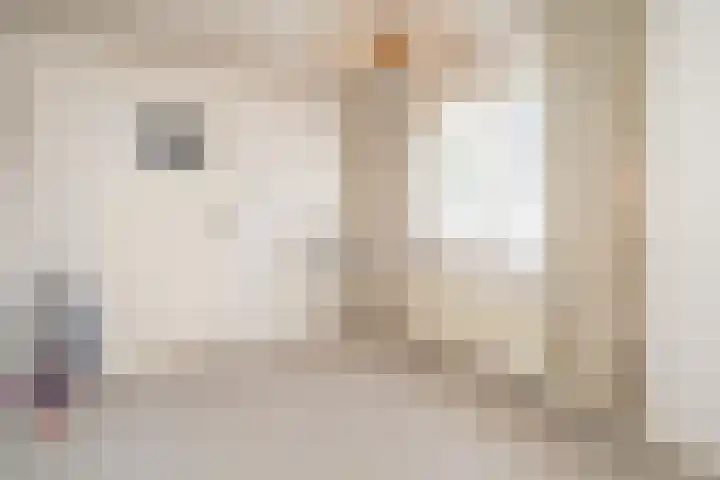 Westertorenlaan 1 Tilburg thumbnail 39