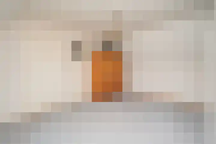 Westertorenlaan 1 Tilburg thumbnail 49