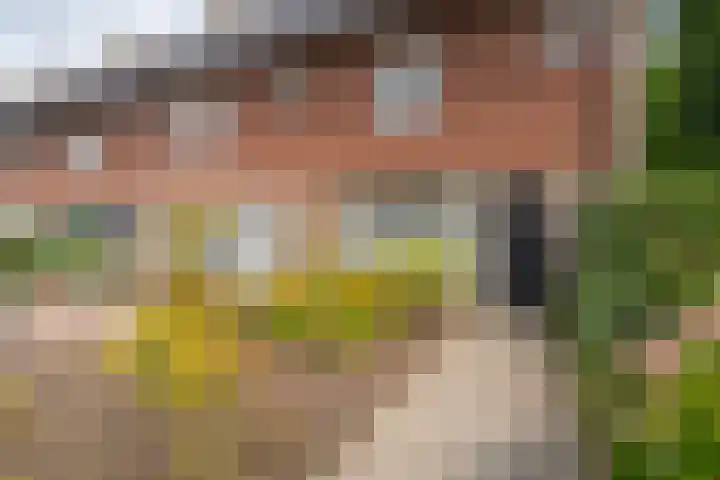 Westertorenlaan 1 Tilburg thumbnail 6