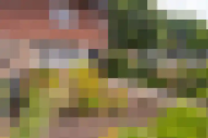 Westertorenlaan 1 Tilburg thumbnail 7