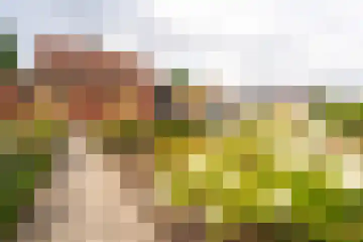 Westertorenlaan 1 Tilburg thumbnail 8