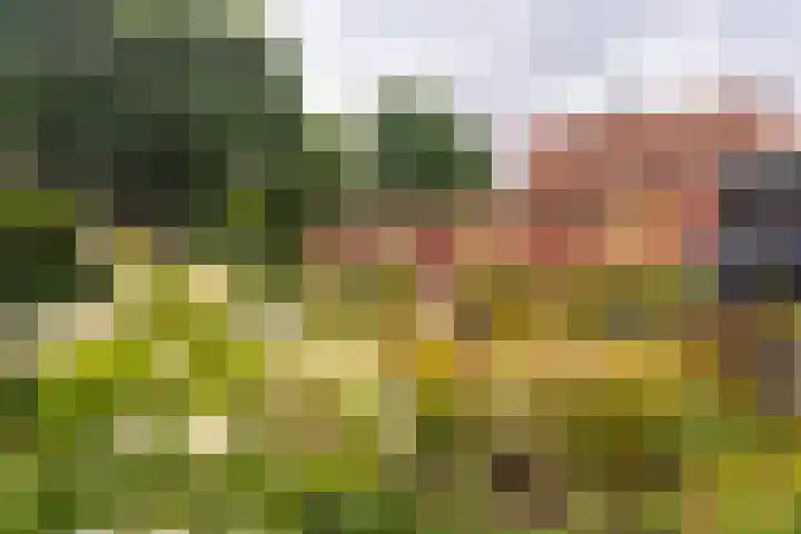 Westertorenlaan 1 Tilburg thumbnail 9