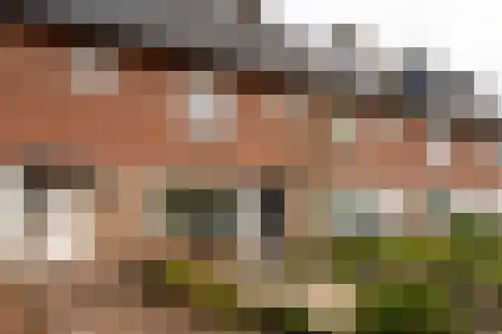 Westertorenlaan 45 Tilburg thumbnail 35