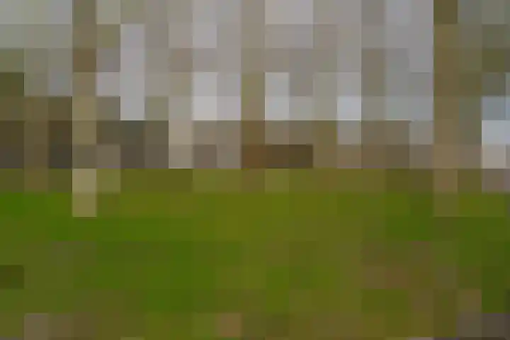Westertorenlaan 45 Tilburg thumbnail 37