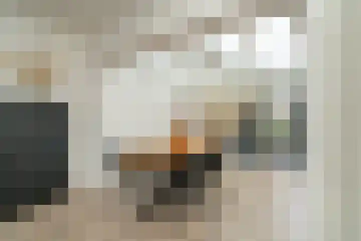 Westertorenlaan 45 Tilburg thumbnail 8